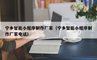 临沂宁乡智能小程序制作厂家（宁乡智能小程序制作厂家电话）