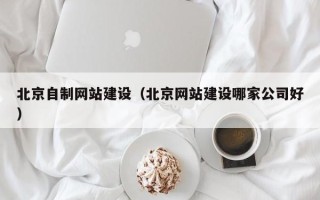 临沂北京自制网站建设（北京网站建设哪家公司好）