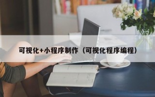 临沂可视化+小程序制作（可视化程序编程）